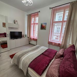 Appartement met een Slaapkamer